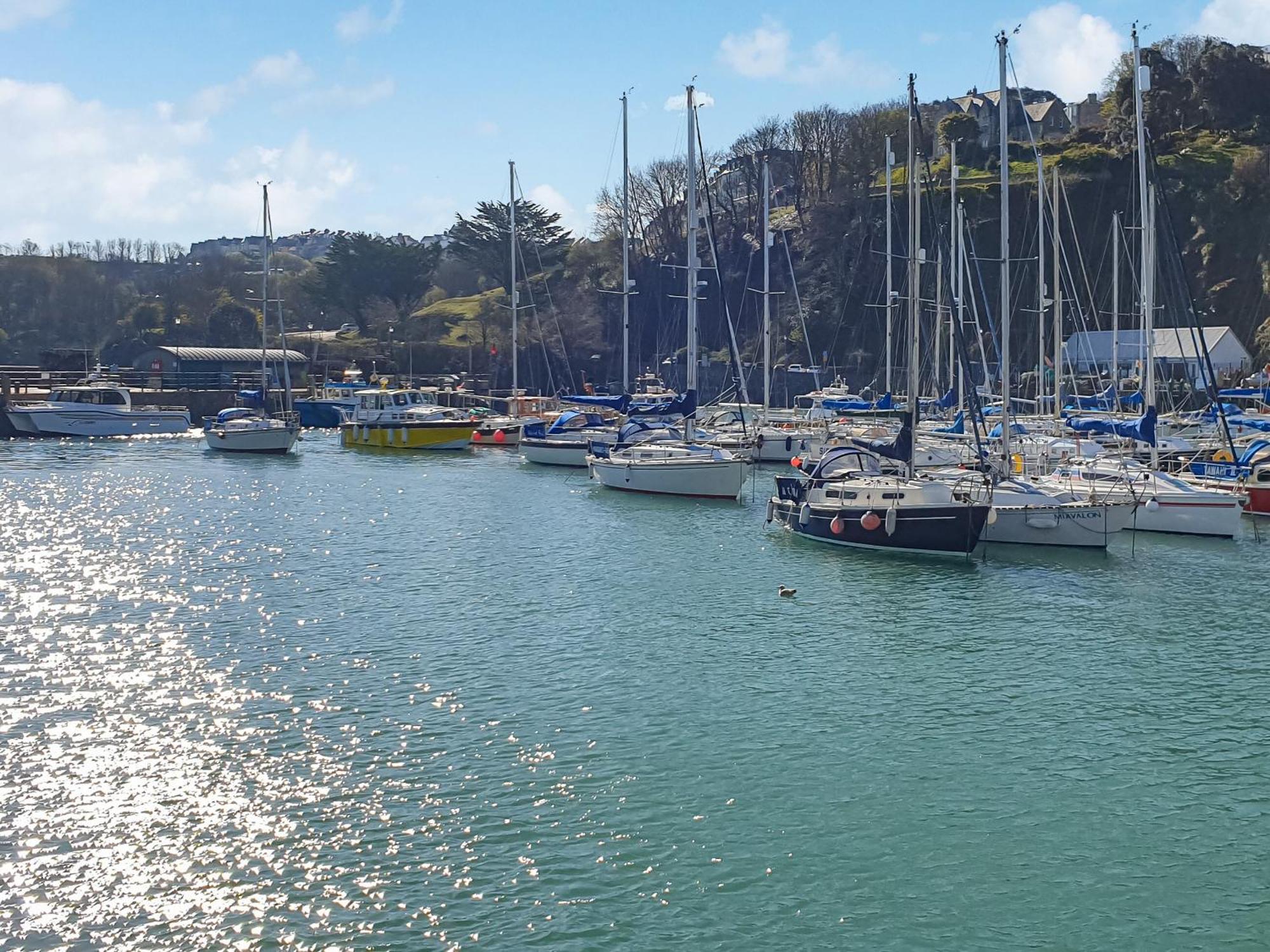 Jellicoe - Uk46102 Holiday home Ilfracombe